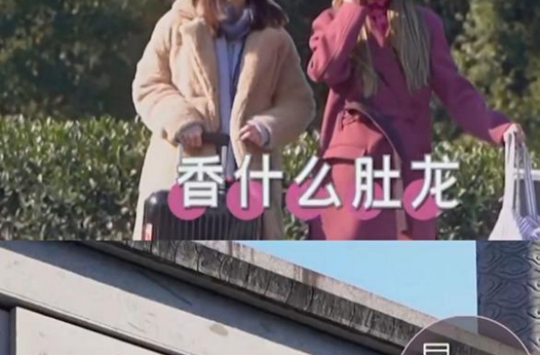 容祖儿在线翻译霍汶希的港普 网友：是我没想到的