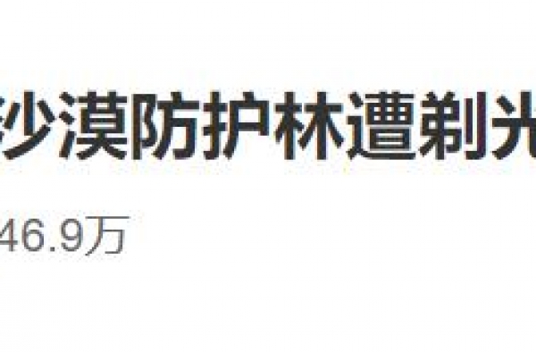 这是一个被娱乐圈八卦掩盖的热搜